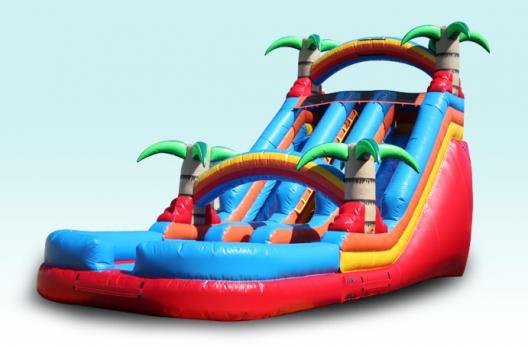 Palm Paradise Dual Lane Inflatable Waterslide Rental in Chicago IL